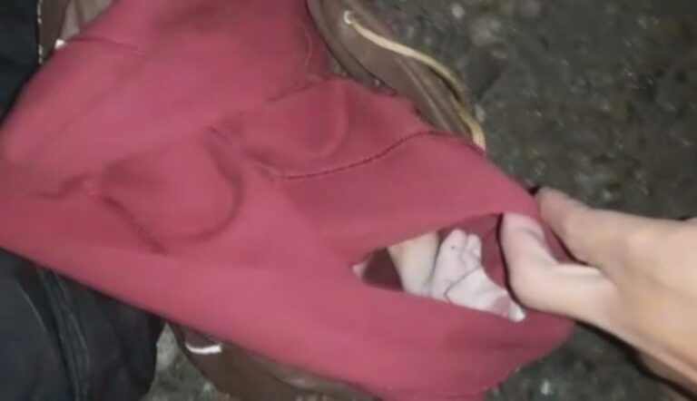 Bebê recém nascido é encontrado em mochila no meio do matagal