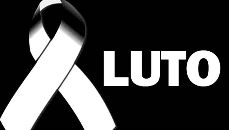 Tristeza: Ator famoso perde a vida em queda de avião com esposa e mais cinco passageiros